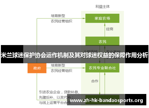 米兰球迷保护协会运作机制及其对球迷权益的保障作用分析