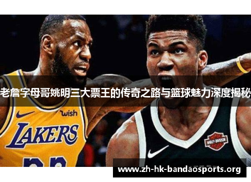 老詹字母哥姚明三大票王的传奇之路与篮球魅力深度揭秘