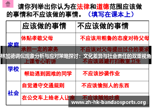 林加德调侃现象分析与应对策略探讨：文化差异与社会责任的双重视角