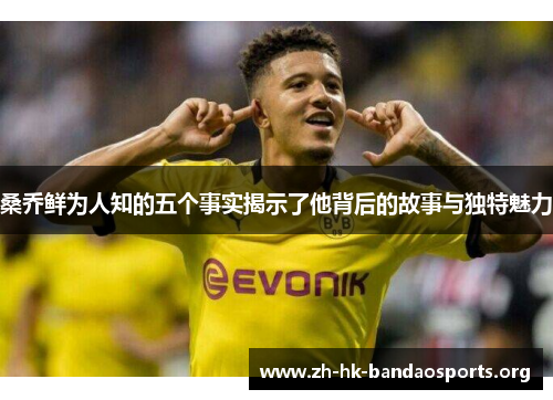 桑乔鲜为人知的五个事实揭示了他背后的故事与独特魅力